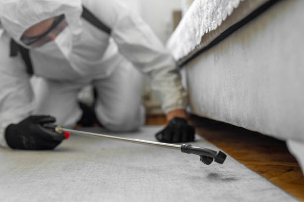 Professional Pest Control technician working in Roane County County, WV